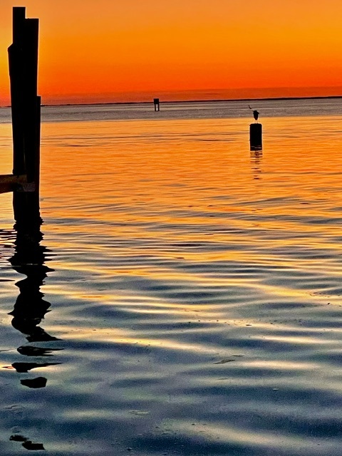 Port Aransas, Texas – Where the Gulf Tells Its Own Story (with Local&nbsp;Voices)